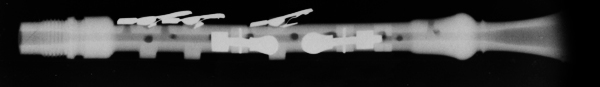 Musette_Xray_Chanter3