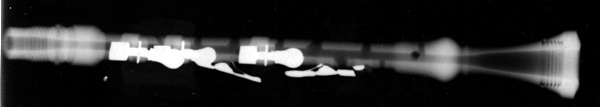 Musette_Xray_Chanter4